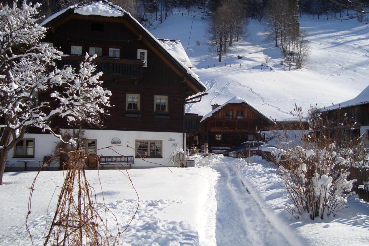 Auerhof Villa Schladming Buitenkant foto