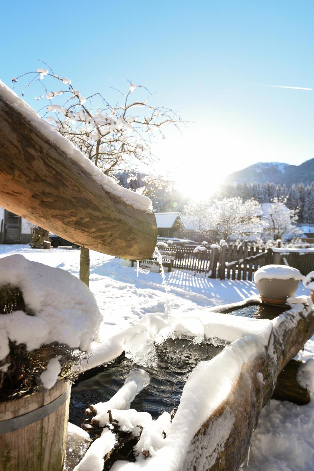 Auerhof Villa Schladming Buitenkant foto