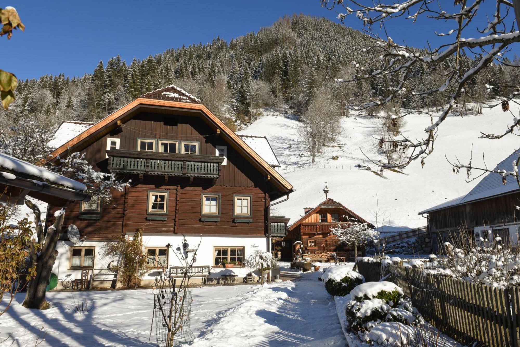 Auerhof Villa Schladming Buitenkant foto