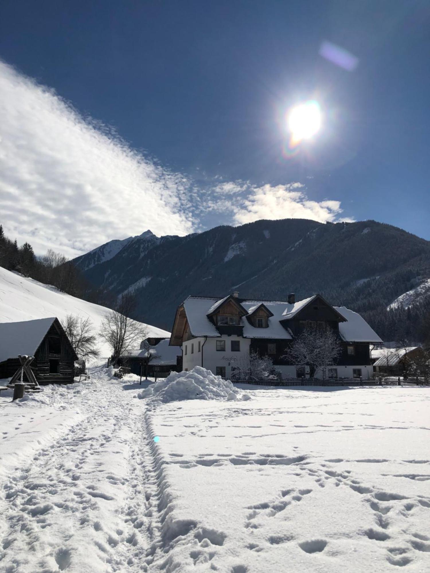 Auerhof Villa Schladming Buitenkant foto