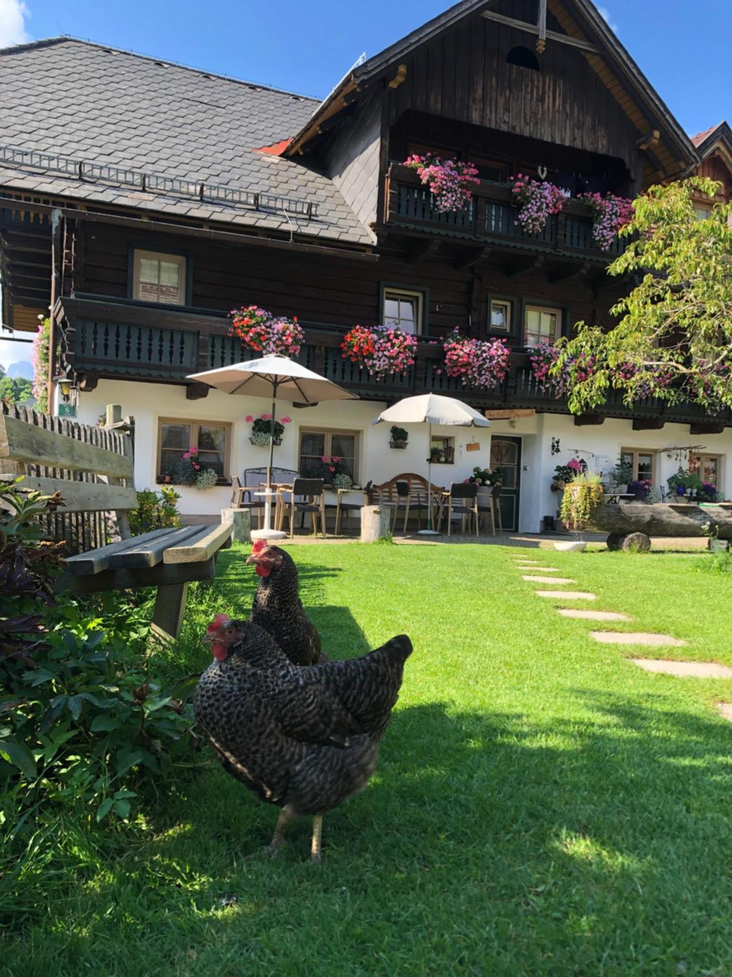 Auerhof Villa Schladming Buitenkant foto